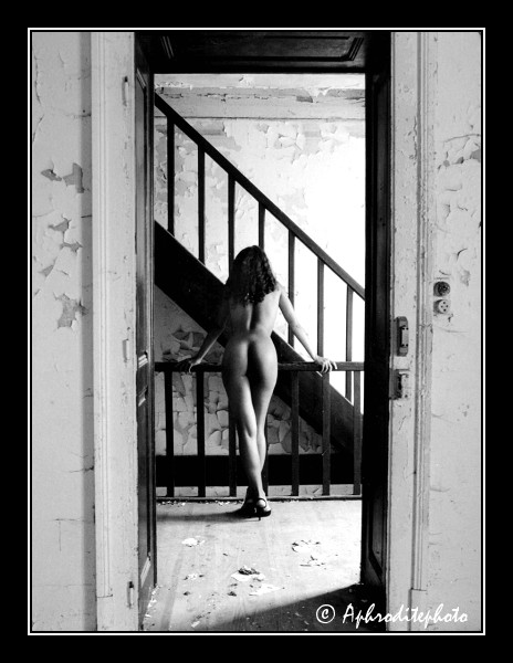 305  Le vieil escalier 6